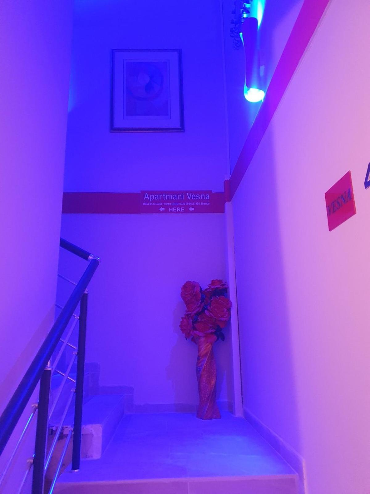 Apartmani Vesna Luxury Ap 5 & 6 Paralia Luaran gambar